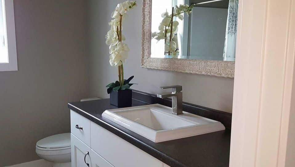 regular basis home cleaning bg