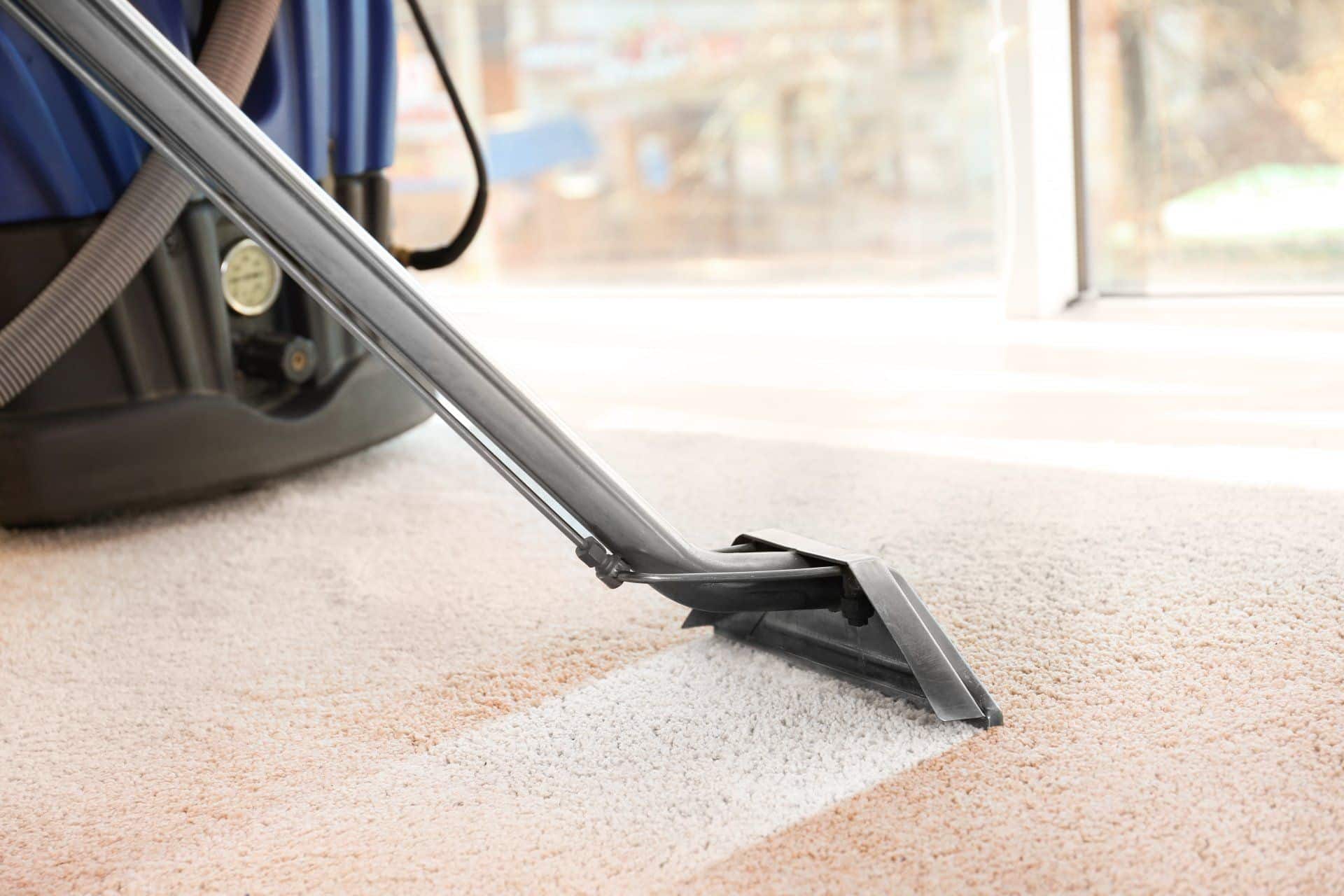 Deep Clean Your Carpet and Upholstery