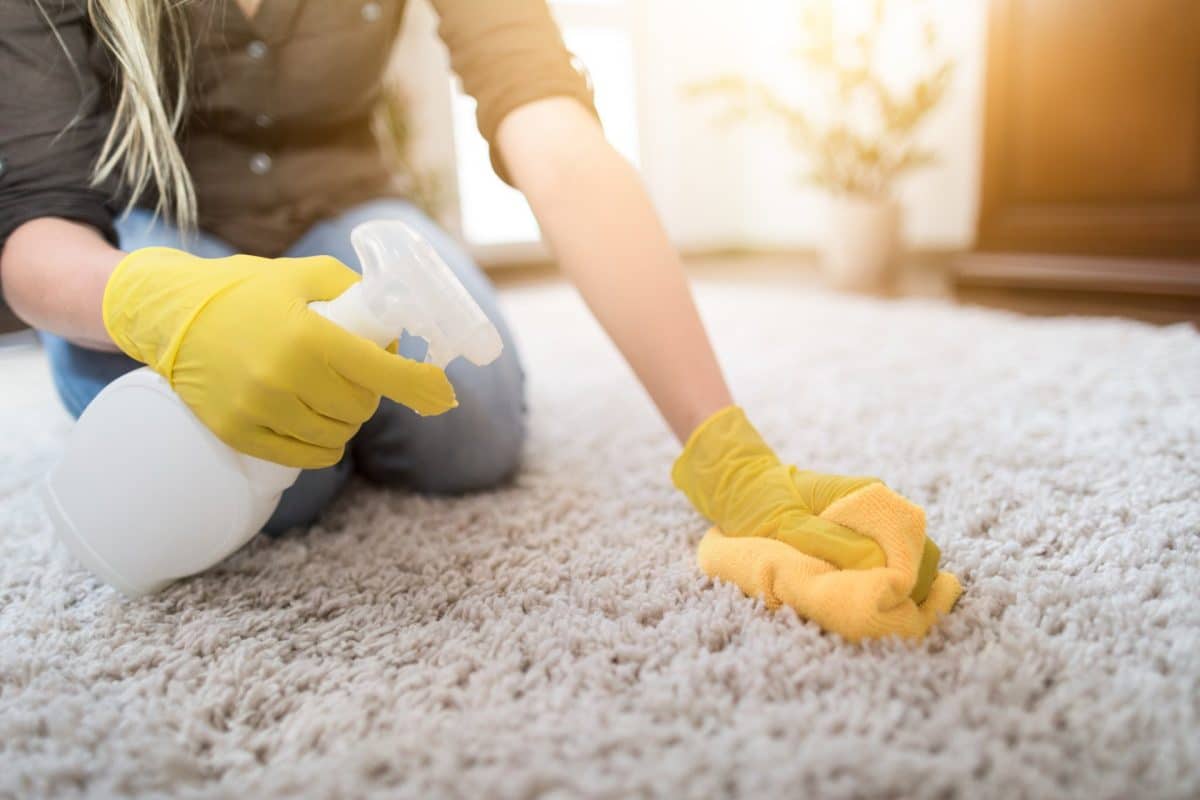 Carpet cleaning services