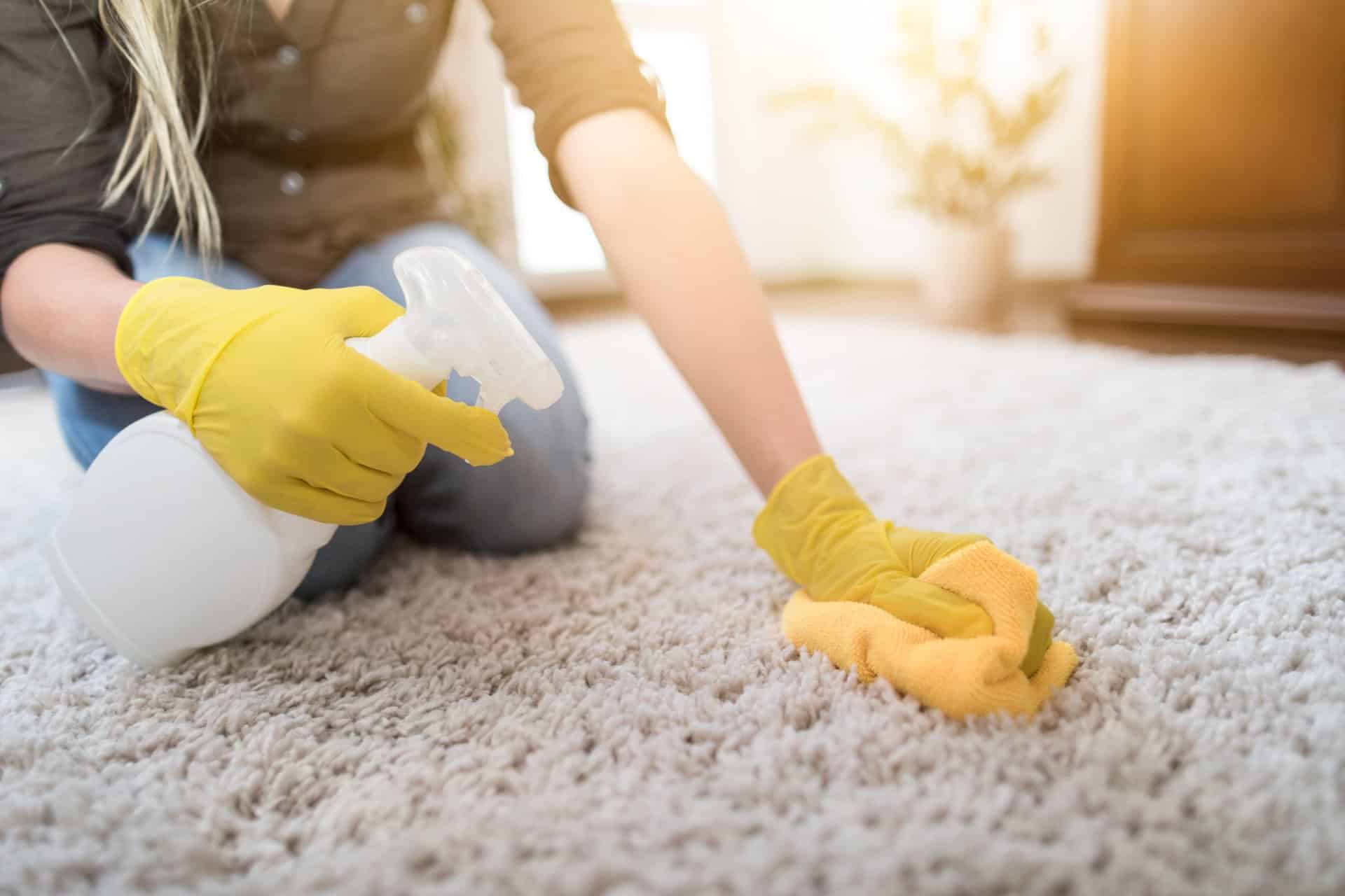 Carpet cleaning services