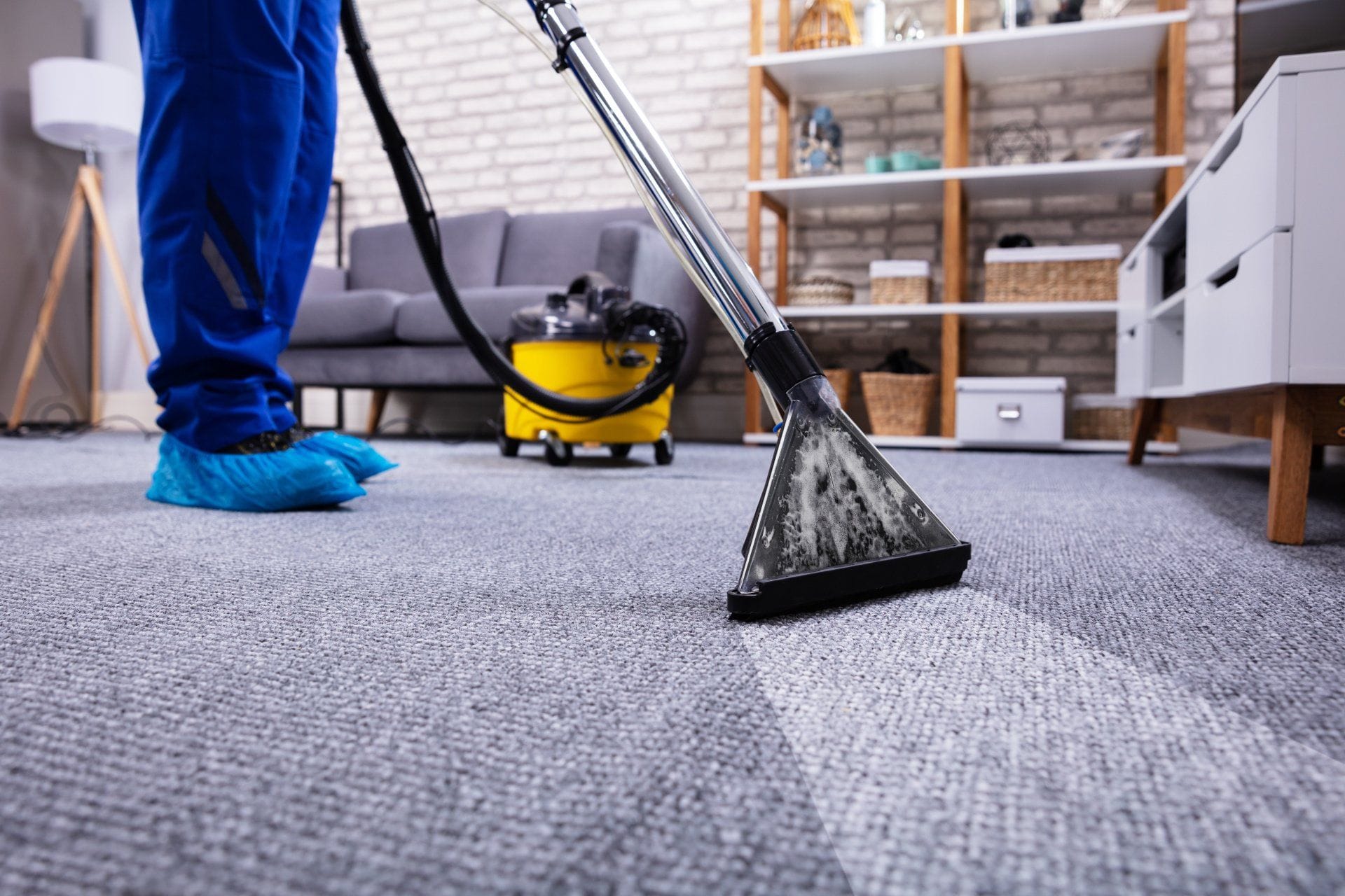 How Often Should You Clean Your Carpets? 6 a professional cleaning a carpet