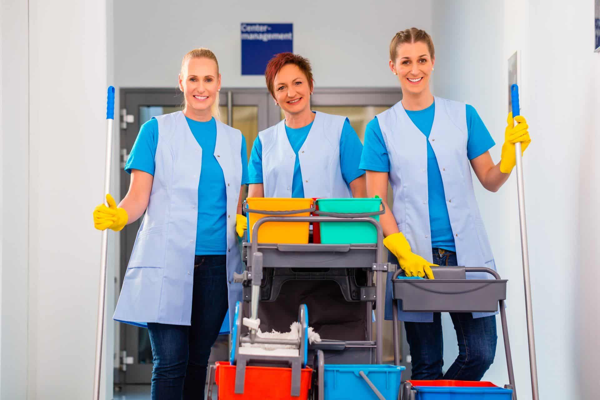 Cleaning professionals Fargo 