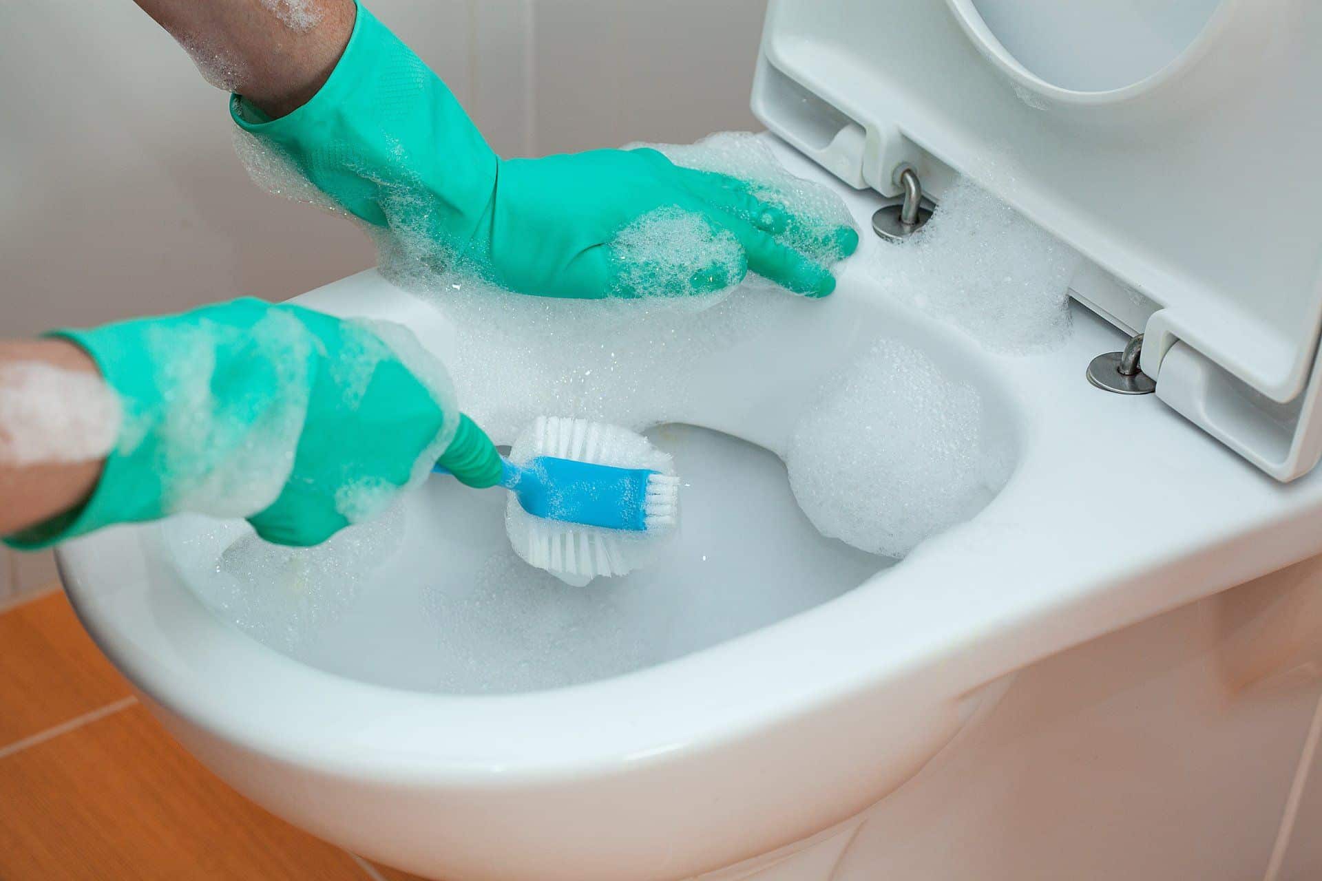 A Weekly Cleaning Schedule That's Quick and Easy 6 Cleaning Toilet
