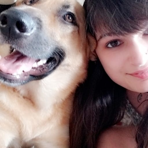 TFHLCA04T U01CVHFEBC4 bbf7c37fe7e5 512