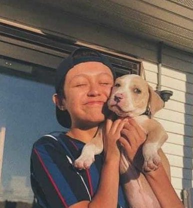 image from ios 2 e1611007399837