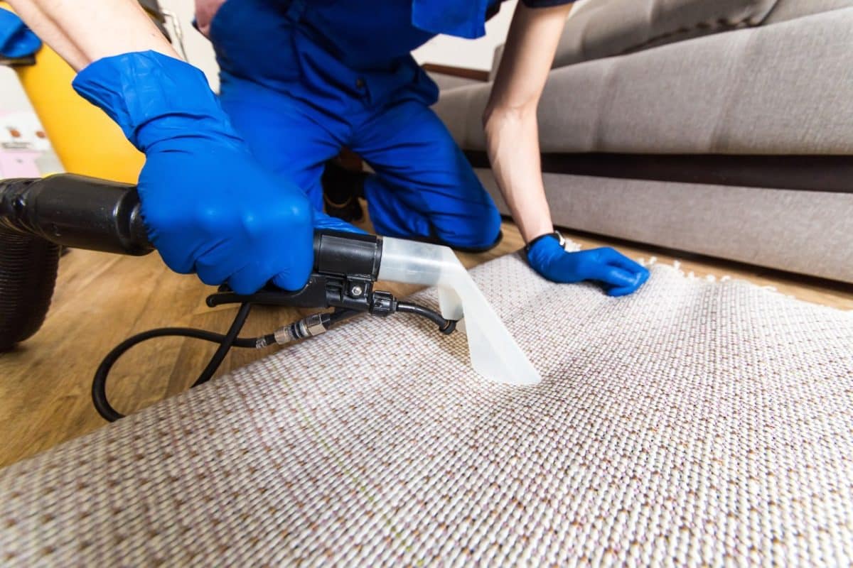 Cleaning service. Man janitor in gloves and uniform vacuum clean white carpet with professional equipment