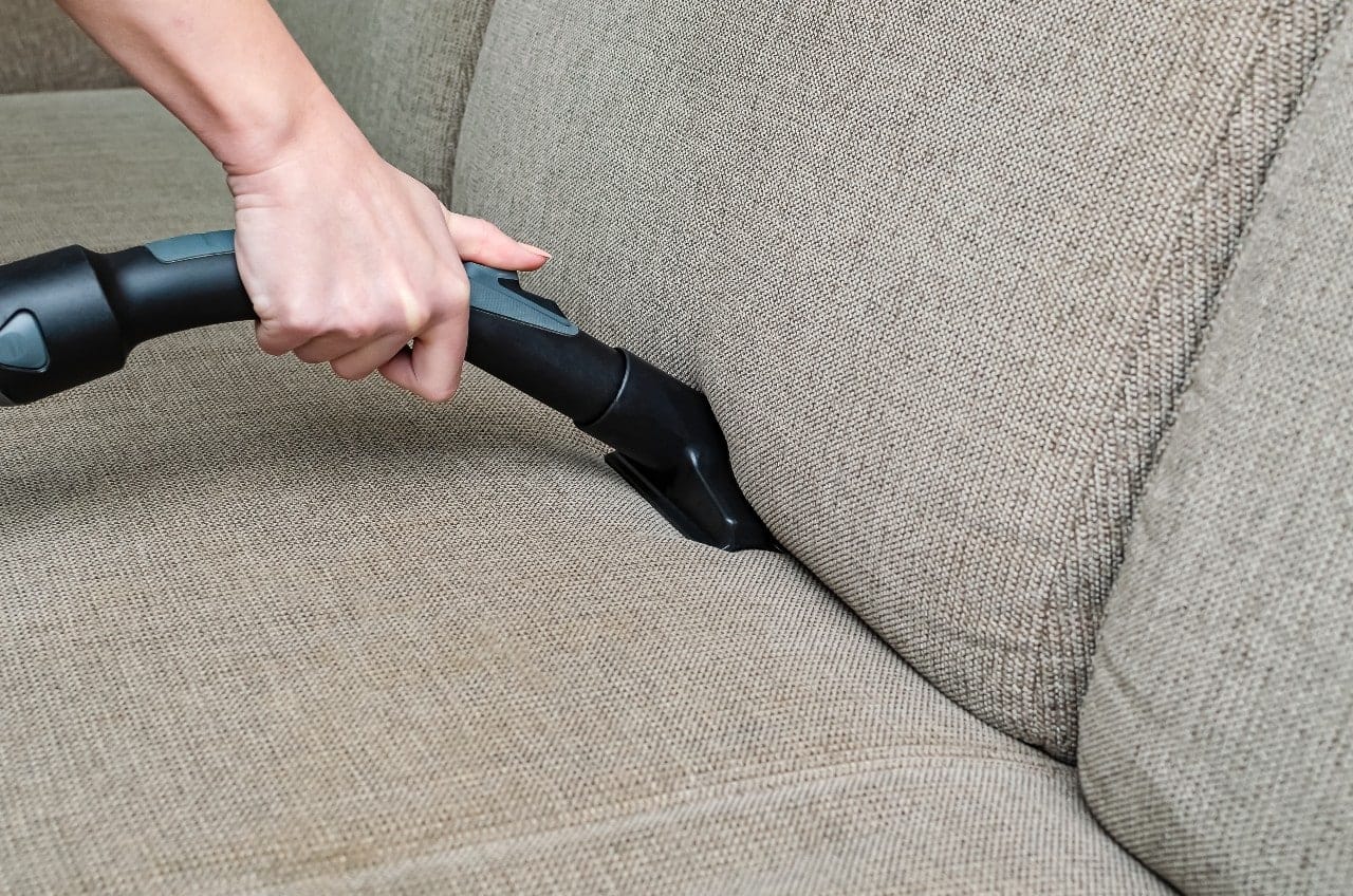 woman vacuums the gray sofa with a washing vacuum cleaner.